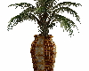 palm in retro vase