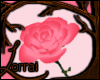[L] Purdyful Rose