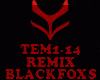 REMIX - TEM1 - 14
