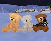 Three Teds With Poses