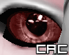 [C.A.C] Cocatoo P Eyes M