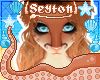 ✦ Jezza | Hair