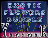 !Y! Exotic Flowers Bundl