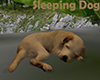 [M] Sleeping Dog