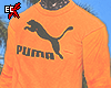 E'C Puma Sweater