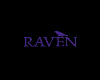 Raven hair v11