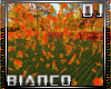 autumn dome 1 DJ LIGHT