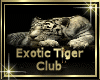 [my]Exotic Tiger Club