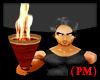 (PM)  Torch HandHeld M/f