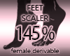 Foot Scaler Sizer 145%