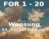 Woosung - Forget Forever