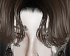 𝟭. Long brown