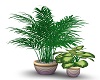 Mill Planter