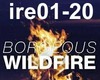 Borgeous - Wildfire1/2