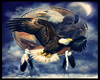 Eagles Native 2