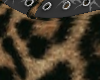 Cheetah Shorts