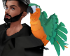 Domestic Parrot