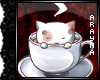 Tea Cat