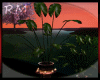 [RM] Myst Plant