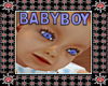[CD]BABYBOY Bassinet BL