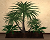 (C) plant decorative S