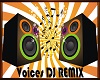 Voice DJ Remix