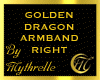 GOLDEN DRAGON ARMBAND R