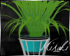 |M| Office Plant