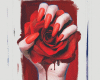 6v3| Red Rose