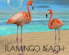 -IC- FLAMINGO BEACH
