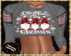 {SS} Chillin Gnomes RLL