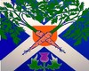 Scots Carrot Banner