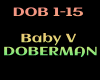 Baby V - DOBERMAN