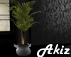 ]Akiz[ GR Plant