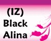 (IZ) Alina Black