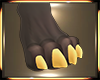 Roth Feet Paws