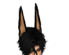 wolf ears