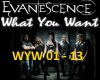 EVANESCENCE-WHAT U WANT