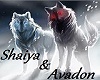 Shaiya & Avadon