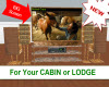 CABIN STYLE TV ~  STEREO