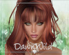 Zenolia Copper Bangs