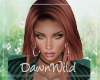 Dondi Copper