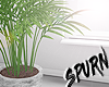 S♥| WATER YA PLANTS!