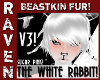 (F) THE WHITE RABBIT V3!