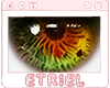 E|  Holi Eyes 07