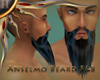(II) Aselmo Beard B&B
