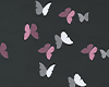 Butterflies Animated