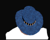 Blue Snakeskin Hat