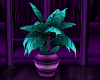 {CSC} SM Potted plant