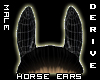 Horse Ears Male